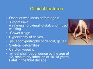 Clinical features
• Onset of weakness before age 5
• Progressive
  weakness, proximal>distal, and muscle
  wasting
• Gower’s sign
• Hypertrophy of calves,
• psuedohypertrophy of deltoid, gluteal
• Skeletal deformities
• Cardiomyopathy
• wheel chair dependence by the age of
  12, respiratory infection at 16-18 years.
  Fatal in the third decade
11/19/2011             Jipmer physiologist    61
 