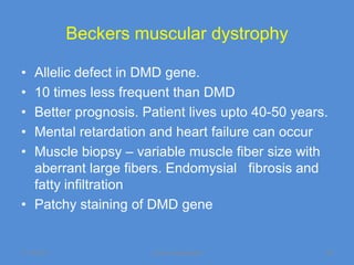 Beckers muscular dystrophy

• Allelic defect in DMD gene.
• 10 times less frequent than DMD
• Better prognosis. Patient lives upto 40-50 years.
• Mental retardation and heart failure can occur
• Muscle biopsy – variable muscle fiber size with
  aberrant large fibers. Endomysial fibrosis and
  fatty infiltration
• Patchy staining of DMD gene


11/19/2011             Jipmer physiologist        65
 