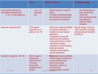 Gene                Clinical feature                    Pathophysiology



Limb-girdle dystrophies
Sarcoglycanopathies AR
                                      α, β, γ, δ
                                      sarcoglyc
                                                       ge
                                                        Starts between 2 and 20
                                                        years
                                                                                            Normal dystrophin
                                                                                            immunostaining,
     Α, β, γ, δ sarcoglycans          ans               Clinically indistinguishable        abnormal
                                                        from duchenne-dystrophy             immunostaining with
                                                        No cardiac involvement              sarcoglycans
                                                   ,                                        Genetic defect
                                                                                            analysis
Myotonic dystrophy AD          CTG repeat               •Myotonia: hyperexcitability   Muscle biopsy showing
                               expansion in a           of muscle membrane             mild myopathic changes
                               gene on chr. 19          inability of quick muscle      and grouping of atrophic
                                                        relaxation                     fast fibres
                                                        •Progressive muscular
                                                        weakness and wasting,
                                                        most prominent in cranial
                                                        and distal muscles
                                                        •Cataracts, frontal balding,
                                                        testicular atrophy
                                                        •Cardiac abnormalities,
                                                        mental retardation
Myotonia congenita AD, AR      Mucle cl gene            Myotonia (hyperexcitability
                               Autosomal                of the muscle membrane):
                               dominant form:           muscle stiffness and
                               Thomsen,                 abnormal muscle
                               autosomal                relaxation, warm-up
                               recessive form:          phenomenon
     11/19/2011                Becker                   Hypertrophied muscles
                                               Jipmer physiologist                                       67
 