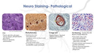 Neuro Staining- Pathological
PAS
•Stains: glucides, glycogen,
mucus, fungus, phospholipids,
glycolipids
•Detects: Metabolic
abnormalities
Congo red
•Stains/detects: Amyloid
plaques and amyloid
angiopathy
Fat Staining – Sudan III, Oil
Red O, Sudan Black B
•Glycerides, fatty acids,
glyco/phospholipids
•Glycerides stain red and
others blue with SBB
•Frozen sections used instead of
paraffin-embedded
•Detects abnormal deposits –
may also detect lipid
phagocytes
Bielschowsky
•Modified silver stain
•Neurofibrils black
•cytoplasm, nuclei, and blood vessels
light brown
•RBCs dark brown
•Neuropil tannish yellow
•In neurology, it’s used for locating
neurofibrillary tangles and plaques
Photo credits: NewcomerSupply Photo credit: Neuropathology Database Photo credit: Neuropathology DatabasePhoto credit: Neuropathology Database
 