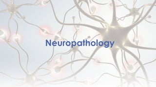 Neuropathology
 