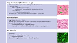 Corpora amylacea (Polyclucosan body)
•Masses of hyaline that are located within glia and their processes
•Two main types:
•Intraneuritic: Not disease-specific
•Present before pyramidal loss in hippocampal sclerosis
•Amyloid bodies
•Accumulates in the processes
•Staining: H&E – stains dark eosinophilic; PAS staining – positive (red)
Rosenthal fibers
•Appearance: Corkscrew-shaped
•Stain(s): H&E–eosinophilic in processes; PTAH stains astrocytic fiber bundles blue
•Seen in: gliosis and pilocytic astrocytomas
•Clinically significant for Alexander’s disease
•Appear in end-feet  extend throughout the brain, vessels, and pia mater
Glial bundles
•Stain: GFAP
•Formed in the ventral spinal nerve root
•Sometimes dorsal root
•Seen in: Werdnig-Hoffmann disease  clinically significant
 