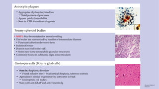 Astrocytic plaques
• Aggregates of phosphorylated tau
• Distal portions of processes
• Appear patchy/wreath-like
• Seen in: CBD  confirms diagnosis
Foamy spheroid bodies
• NOTE: May be mistaken for axonal swelling
• The bodies are surrounded by bundles of intermediate filament
• Punctuate adhesions between them
• Indistinct border
• Doesn’t stain well with H&E
• Some have some eosinophilic granular structrures
• Commonly found in substantia nigra zona reticularis
Grotesque cells (Bizarre glial cells)
• Seen in: dysplastic disorders
• Found in lesion sites – focal cortical dysplasia, tuberous scerosis
• Appearance: similar to gemistocytic astrocytes in H&E
• Eosinophilic cell bodies
• Stain with anti-GFAP and anti-vimentin Ig
Harvard School of
Medicine
 