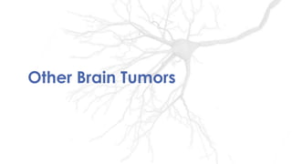 Other Brain Tumors
 