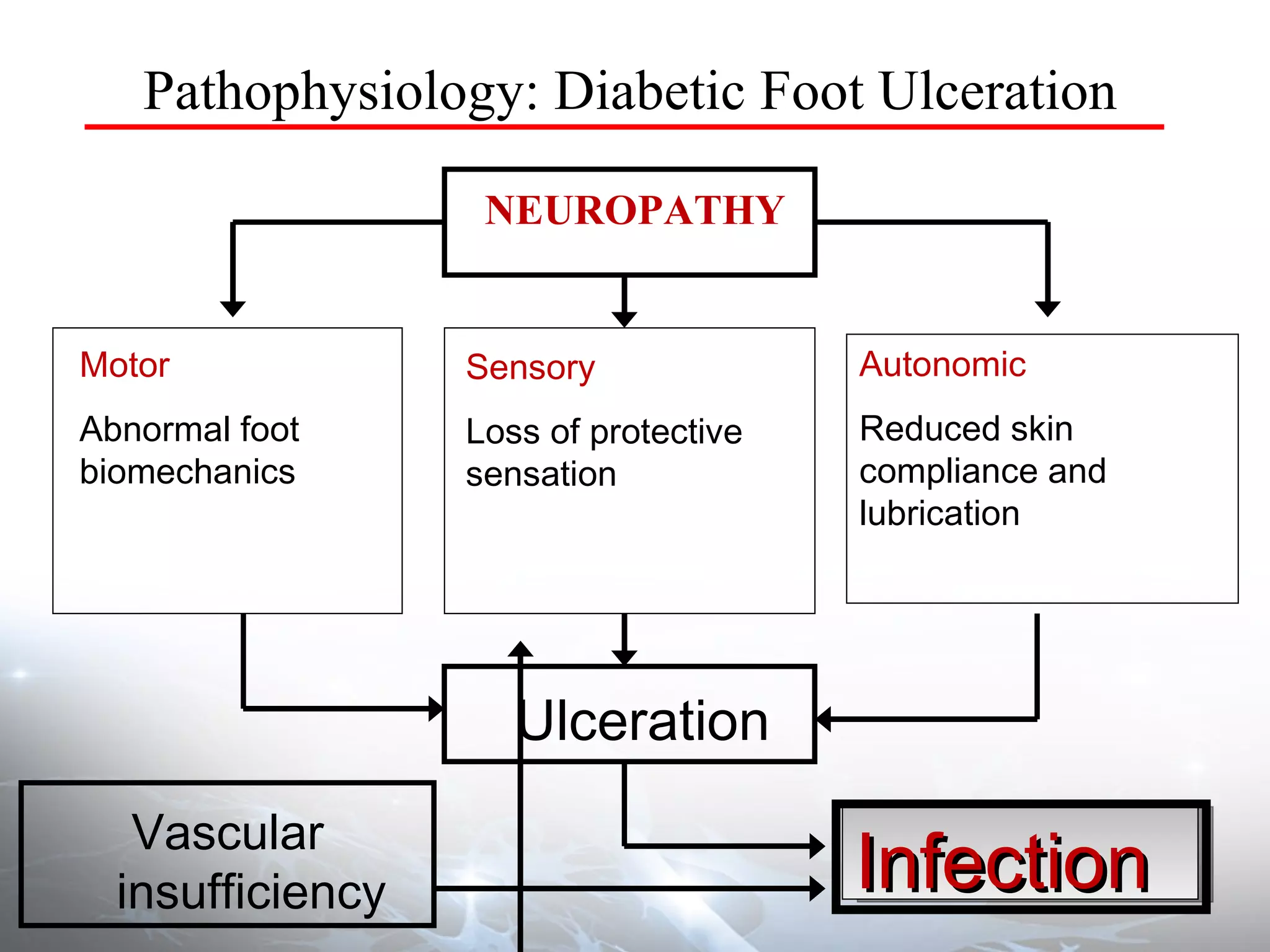 Pathophysiology: Diabetic Foot Ulceration NEUROPATHY Sensory Loss of protective sensation Motor Abnormal foot biomechanics Autonomic Reduced skin compliance and lubrication Ulceration Infection Vascular insufficiency 