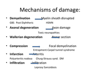 Mechanisms of damage:
• Demyelination Myelin sheath disrupted
GBS Post Diphtheric HSMN
• Axonal degeneration Axon damage
Toxic neuropathies
• Wallerian degeneration Nerve section
• Compression Focal demyelination
Entrapment-Carpel tunnel syndrome
• Infarction Arteritis
Polyarteritis nodosa Churg-Strauss synd. DM
• Infiltration Infiltration
Leprosy Sarcoidosis
 