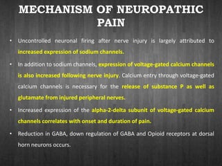 MECHANISM OF NEUROPATHIC
PAIN
• Uncontrolled neuronal firing after nerve injury is largely attributed to
increased expression of sodium channels.
• In addition to sodium channels, expression of voltage-gated calcium channels
is also increased following nerve injury. Calcium entry through voltage-gated
calcium channels is necessary for the release of substance P as well as
glutamate from injured peripheral nerves.
• Increased expression of the alpha-2-delta subunit of voltage-gated calcium
channels correlates with onset and duration of pain.
• Reduction in GABA, down regulation of GABA and Opioid receptors at dorsal
horn neurons occurs.
 