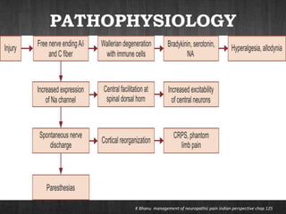 PATHOPHYSIOLOGY
K Bhanu management of neuropathic pain indian perspective chap 125
 