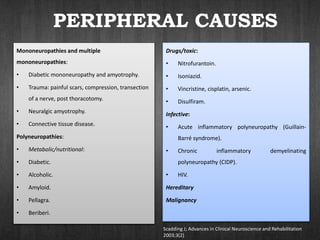 PERIPHERAL CAUSES
Mononeuropathies and multiple
mononeuropathies:
• Diabetic mononeuropathy and amyotrophy.
• Trauma: painful scars, compression, transection
of a nerve, post thoracotomy.
• Neuralgic amyotrophy.
• Connective tissue disease.
Polyneuropathies:
• Metabolic/nutritional:
• Diabetic.
• Alcoholic.
• Amyloid.
• Pellagra.
• Beriberi.
Drugs/toxic:
• Nitrofurantoin.
• Isoniazid.
• Vincristine, cisplatin, arsenic.
• Disulfiram.
Infective:
• Acute inflammatory polyneuropathy (Guillain-
Barré syndrome).
• Chronic inflammatory demyelinating
polyneuropathy (CIDP).
• HIV.
Hereditary
Malignancy
Scadding J; Advances in Clinical Neuroscience and Rehabilitation
2003;3(2)
 