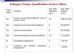 Peripheral Neuropathy final | PPTX