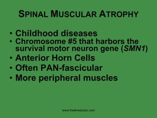 S PINAL  M USCULAR  A TROPHY Childhood diseases Chromosome #5 that harbors the survival motor neuron gene ( SMN1 )   Anterior Horn Cells Often PAN-fascicular More peripheral muscles www.freelivedoctor.com 
