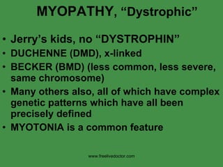 MYOPATHY , “Dystrophic” Jerry’s kids, no “DYSTROPHIN” DUCHENNE (DMD), x-linked BECKER (BMD) (less common, less severe, same chromosome) Many others also, all of which have complex genetic patterns which have all been precisely defined MYOTONIA is a common feature www.freelivedoctor.com 