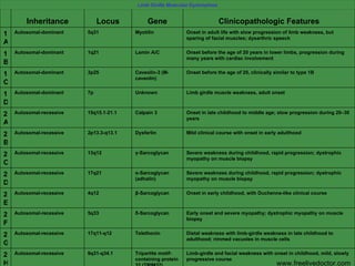 www.freelivedoctor.com Limb Girdle Muscular Dystrophies Inheritance Locus Gene Clinicopathologic Features 1A Autosomal-dominant 5q31 Myotilin Onset in adult life with slow progression of limb weakness, but sparing of facial muscles; dysarthric speech 1B Autosomal-dominant 1q21 Lamin A/C Onset before the age of 20 years in lower limbs, progression during many years with cardiac involvement 1C Autosomal-dominant 3p25 Caveolin-3 (M-caveolin) Onset before the age of 20, clinically similar to type 1B 1D Autosomal-dominant 7p Unknown Limb girdle muscle weakness, adult onset 2A Autosomal-recessive 15q15.1-21.1 Calpain 3 Onset in late childhood to middle age; slow progression during 20–30 years 2B Autosomal-recessive 2p13.3-q13.1 Dysferlin Mild clinical course with onset in early adulthood 2C Autosomal-recessive 13q12 γ-Sarcoglycan Severe weakness during childhood, rapid progression; dystrophic myopathy on muscle biopsy 2D Autosomal-recessive 17q21 α-Sarcoglycan (adhalin) Severe weakness during childhood, rapid progression; dystrophic myopathy on muscle biopsy 2E Autosomal-recessive 4q12 β-Sarcoglycan Onset in early childhood, with Duchenne-like clinical course 2F Autosomal-recessive 5q33 δ-Sarcoglycan Early onset and severe myopathy; dystrophic myopathy on muscle biopsy 2G Autosomal-recessive 17q11-q12 Telethonin Distal weakness with limb-girdle weakness in late childhood to adulthood; rimmed vacuoles in muscle cells 2H Autosomal-recessive 9q31-q34.1 Tripartite motif-containing protein 32 (TRIM32) Limb-girdle and facial weakness with onset in childhood, mild, slowly progressive course 