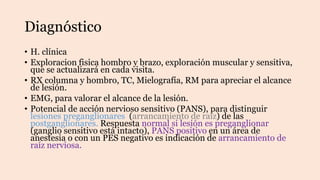 Diagnóstico
• H. clínica
• Exploracion fisica hombro y brazo, exploración muscular y sensitiva,
que se actualizará en cada visita.
• RX columna y hombro, TC, Mielografía, RM para apreciar el alcance
de lesión.
• EMG, para valorar el alcance de la lesión.
• Potencial de acción nervioso sensitivo (PANS), para distinguir
lesiones preganglionares (arrancamiento de raíz) de las
postganglionares. Respuesta normal si lesión es preganglionar
(ganglio sensitivo está intacto), PANS positivo en un área de
anestesia o con un PES negativo es indicación de arrancamiento de
raíz nerviosa.
 