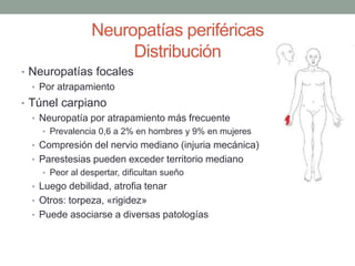 Neuropatías periféricas
Distribución
• Neuropatías focales
• Por atrapamiento
• Túnel carpiano
• Neuropatía por atrapamiento más frecuente
• Prevalencia 0,6 a 2% en hombres y 9% en mujeres
• Compresión del nervio mediano (injuria mecánica)
• Parestesias pueden exceder territorio mediano
• Peor al despertar, dificultan sueño
• Luego debilidad, atrofia tenar
• Otros: torpeza, «rigidez»
• Puede asociarse a diversas patologías
 