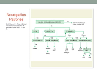 Neuropatías
Patrones
De: Willisomn H y Winer J. Clinical
evaluation and investigation of
neuropathy. JNNP 2003; 74: ii3-
ii8.
 