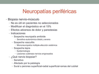 Neuropatías periféricas
• Biopsia nervio-músculo
• No es útil en pacientes no seleccionados
• Modifican el diagnóstico en el 15%
• Efectos adversos de dolor y parestesias
• Indicaciones
• Sospecha neuropatía amiloide
• Sensitivo-autonómica distal y severa
• Sospecha vasculitis
• Mononeuropatía múltiple-afección sistémica
• Sospecha lepra
• Epidemiología
• Lesiones cutáneas-nervios engrosados
• ¿Qué nervio biopsiar?
• Sensitivo
• Afectado por la patología
• Sural o peroneo superficial-radial superficial-ramas del cubital
 