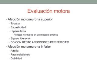 Evaluación motora
• Afección motoneurona superior
• Torpeza
• Espasticidad
• Hiperreflexia
• Reflejos normales en un músculo atrófico
• Signos liberación
• DD CON RESTO AFECCIONES PERIFÉRICAS!
• Afección motoneurona inferior
• Atrofia
• Fasciculaciones
• Debilidad
 
