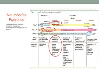 Neuropatías
Partrones
De: Mauermann M, Burns T.
Evaluation of peripheral
neuropathies. Neurology 2009; 72:
e28-e31.
 
