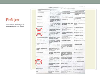 Reflejos
De: Fustinoini. Semiología del
sistema nervioso. 13° edición.
 