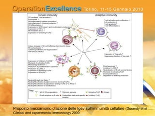 Proposto meccanismo d’azione delle Igev sull’immuinità cellulare (Durandy et al
Clinical and experimental immunology 2009
 