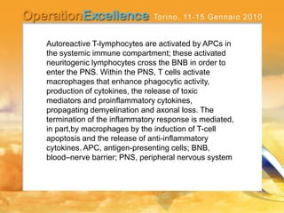 Autoreactive T-lymphocytes are activated by APCs in
the systemic immune compartment; these activated
neuritogenic lymphocytes cross the BNB in order to
enter the PNS. Within the PNS, T cells activate
macrophages that enhance phagocytic activity,
production of cytokines, the release of toxic
mediators and proinflammatory cytokines,
propagating demyelination and axonal loss. The
termination of the inflammatory response is mediated,
in part,by macrophages by the induction of T-cell
apoptosis and the release of anti-inflammatory
cytokines. APC, antigen-presenting cells; BNB,
blood–nerve barrier; PNS, peripheral nervous system
 