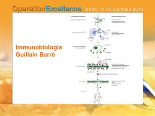 Immunobiologia
Guillain Barrè
 