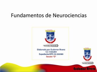 Fundamentos de Neurociencias

 