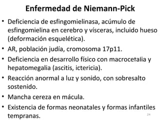 Enfermedad de Niemann-Pick
• Deficiencia de esfingomielinasa, acúmulo de
esfingomielina en cerebro y vísceras, incluido hueso
(deformación esquelética).
• AR, población judía, cromosoma 17p11.
• Deficiencia en desarrollo físico con macrocefalia y
hepatomegalia (ascitis, ictericia).
• Reacción anormal a luz y sonido, con sobresalto
sostenido.
• Mancha cereza en mácula.
• Existencia de formas neonatales y formas infantiles
tempranas. 24
 