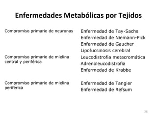Enfermedades Metabólicas por Tejidos
Compromiso primario de neuronas Enfermedad de Tay-Sachs
Enfermedad de Niemann-Pick
Enfermedad de Gaucher
Lipofucsinosis cerebral
Compromiso primario de mielina
central y periférica
Leucodistrofia metacromática
Adrenoleucodistrofia
Enfermedad de Krabbe
Compromiso primario de mielina
periférica
Enfermedad de Tangier
Enfermedad de Refsum
26
 
