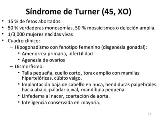 Síndrome de Turner (45, XO)
• 15 % de fetos abortados.
• 50 % verdaderas monosomías, 50 % mosaicismos o deleción amplia.
• 1/3,000 mujeres nacidas vivas
• Cuadro clínico:
– Hipogonadismo con fenotipo femenino (disgenesia gonadal):
• Amenorrea primaria, infertilidad
• Agenesia de ovarios
– Dismorfismo:
• Talla pequeña, cuello corto, torax amplio con mamilas
hipertelóricas, cúbito valgo.
• Implantación baja de cabello en nuca, hendiduras palpebrales
hacia abajo, paladar ojival, mandíbula pequeña.
• Linfedema al nacer, coartación de aorta.
• Inteligencia conservada en mayoría.
32
 