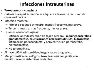 Infecciones Intrauterinas
• Toxoplasmosis congénita
• Gato es huésped, infección se adquiere a través de consumo de
carne mal cocida.
• Infección materna:
– Primer o segundo trimestre: menos frecuente, mas grave.
– Tercer trimestre: mas frecuente, menos grave.
• Lesiones neuropatológicas:
– Inflamación y destrucción de tejido cerebral: meningoencefalitis
granulomatosa, calcificaciones cerebrales difusas, hidrocefalia,
inflamación periacueductal y periventricular, porencefalia,
hidranencefalia.
– No teratogénico.
• Al nacer, 90% asintomático, luego cuadro progresivo.
• Mal pronostico neurológico: toxoplasmosis congénita con
manifestaciones sistémicas evidentes.
4
 