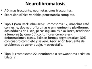 Neurofibromatosis
• AD, mas frecuente, neomutaciones frecuentes.
• Expresión clínica variable, penetrancia completa.
• Tipo 1 (Von Recklinhausen): Cromosoma 17, manchas café
con leche, dos neurofibromas o un neurinoma plexiforme,
dos nódulos de Lisch, pecas inguinales o axilares, tendencia
a tumores (glioma óptico, tumores cerebrales),
deformaciones óseas. Existen formas segmentarias; 30%
con cuadro completo y severo. Asociación frecuente de
problemas de aprendizaje, macrocefalia.
• Tipo 2: cromosoma 22, neurinoma o schwannoma acústico
bilateral.
43
 
