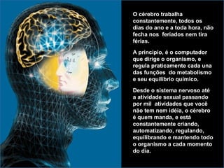 O cérebro trabalha
constantemente, todos os
dias do ano e a toda hora, não
fecha nos feriados nem tira
férias.
A princípio, é o computador
que dirige o organismo, e
regula praticamente cada una
das funções do metabolismo
e seu equilíbrio químico.
Desde o sistema nervoso até
a atividade sexual passando
por mil atividades que você
não tem nem idéia, o cérebro
é quem manda, e está
constantemente criando,
automatizando, regulando,
equilibrando e mantendo todo
o organismo a cada momento
do dia.
 