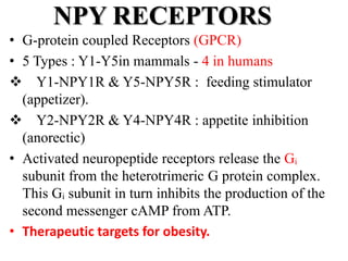 Neuropeptides | PPTX