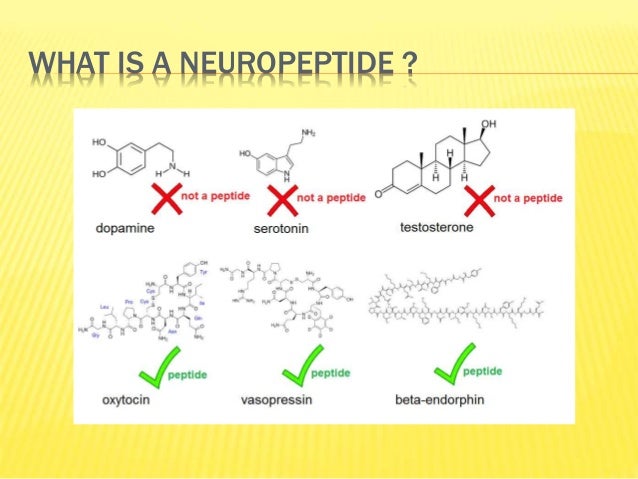 Neuropeptides