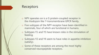 Neuropeptide y | PPTX