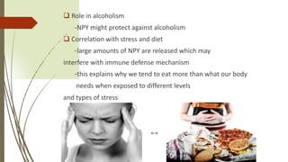  Role in alcoholism
-NPY might protect against alcoholism
 Correlation with stress and diet
-large amounts of NPY are released which may
interfere with immune defense mechanism
-this explains why we tend to eat more than what our body
needs when exposed to different levels
and types of stress
↔
 