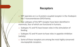 Neuropeptide y | PPT