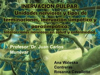 Profesor: Dr. Juan Carlos
Munévar

                    Ana Waleska
                    Contreras
                    Rosanna Cavalletto
 