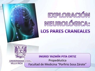 EXPLORACIÓN NEUROLÓGICA: LOS PARES CRANEALES INGRID YAZMÍN PITA ORTIZ Propedéutica Facultad de Medicina “Porfirio Sosa Zárate” 