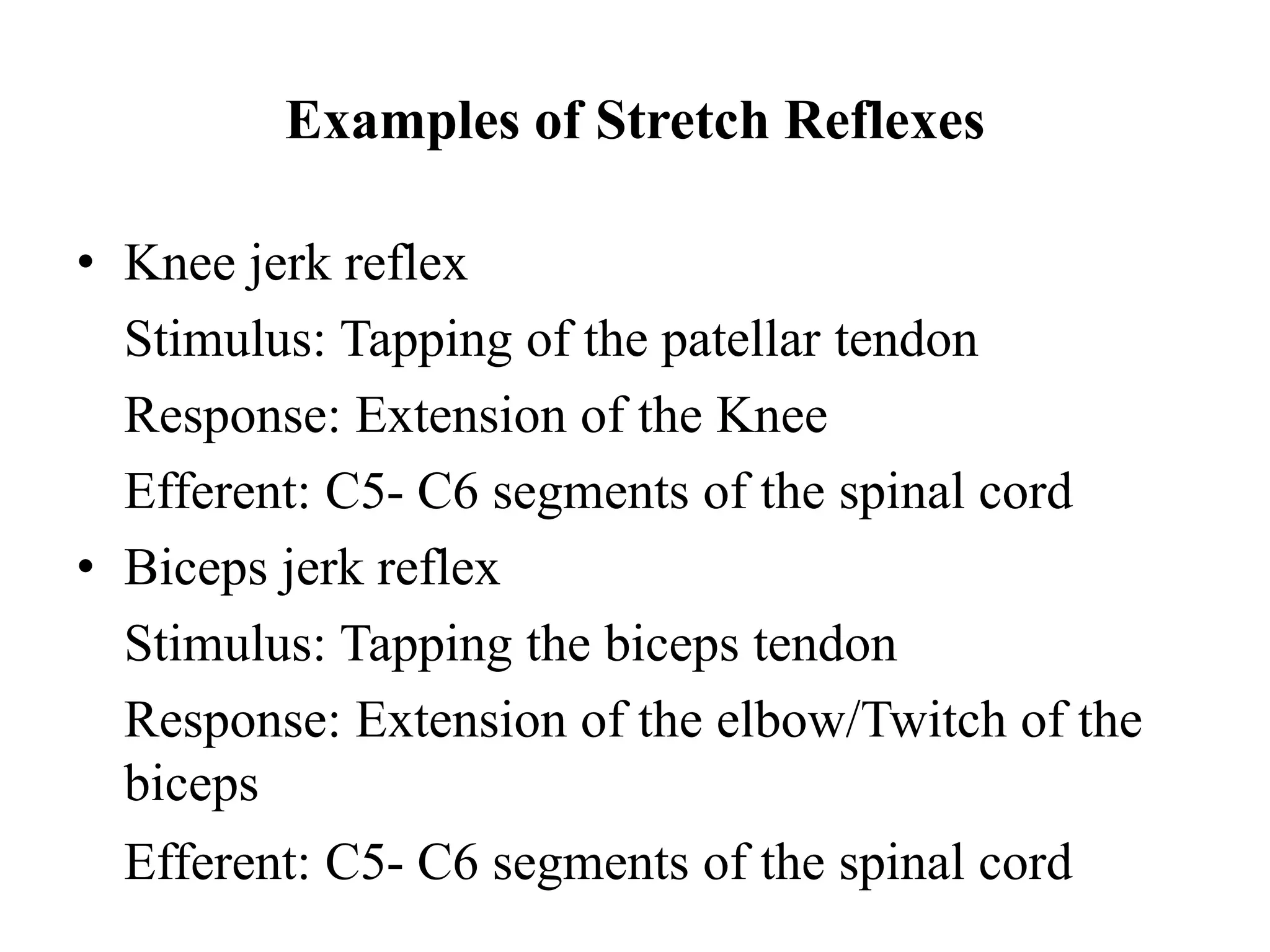Examples of Stretch Reflexes
• Knee jerk reflex
Stimulus: Tapping of the patellar tendon
Response: Extension of the Knee
Efferent: C5- C6 segments of the spinal cord
• Biceps jerk reflex
Stimulus: Tapping the biceps tendon
Response: Extension of the elbow/Twitch of the
biceps
Efferent: C5- C6 segments of the spinal cord
 