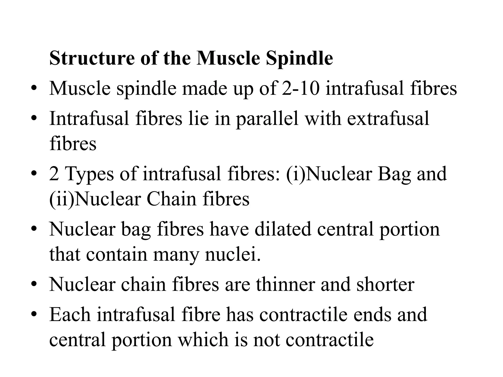 Structure of the Muscle Spindle
• Muscle spindle made up of 2-10 intrafusal fibres
• Intrafusal fibres lie in parallel with extrafusal
fibres
• 2 Types of intrafusal fibres: (i)Nuclear Bag and
(ii)Nuclear Chain fibres
• Nuclear bag fibres have dilated central portion
that contain many nuclei.
• Nuclear chain fibres are thinner and shorter
• Each intrafusal fibre has contractile ends and
central portion which is not contractile
 