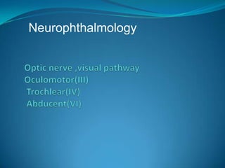 Optic nerve ,visual pathwayOculomotor(III)Trochlear(IV) Abducent(VI) 1 Neurophthalmology 