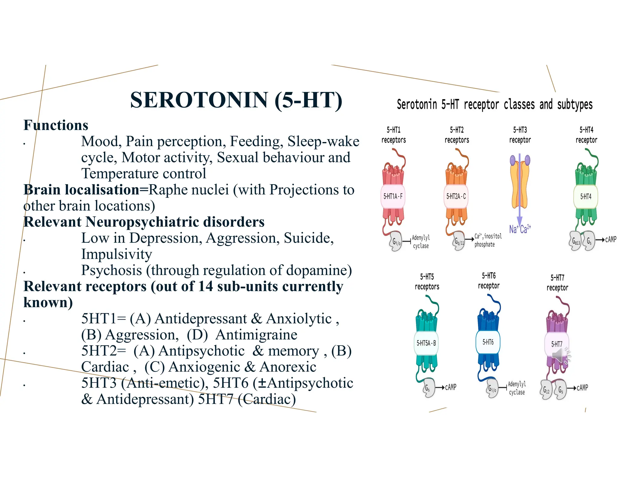 SEROTONIN (5-HT)
Functions
• Mood, Pain perception, Feeding, Sleep-wake
cycle, Motor activity, Sexual behaviour and
Temperature control
Brain localisation=Raphe nuclei (with Projections to
other brain locations)
Relevant Neuropsychiatric disorders
• Low in Depression, Aggression, Suicide,
Impulsivity
• Psychosis (through regulation of dopamine)
Relevant receptors (out of 14 sub-units currently
known)
• 5HT1= (A) Antidepressant & Anxiolytic ,
(B) Aggression, (D) Antimigraine
• 5HT2= (A) Antipsychotic & memory , (B)
Cardiac , (C) Anxiogenic & Anorexic
• 5HT3 (Anti-emetic), 5HT6 (±Antipsychotic
& Antidepressant) 5HT7 (Cardiac)
 
