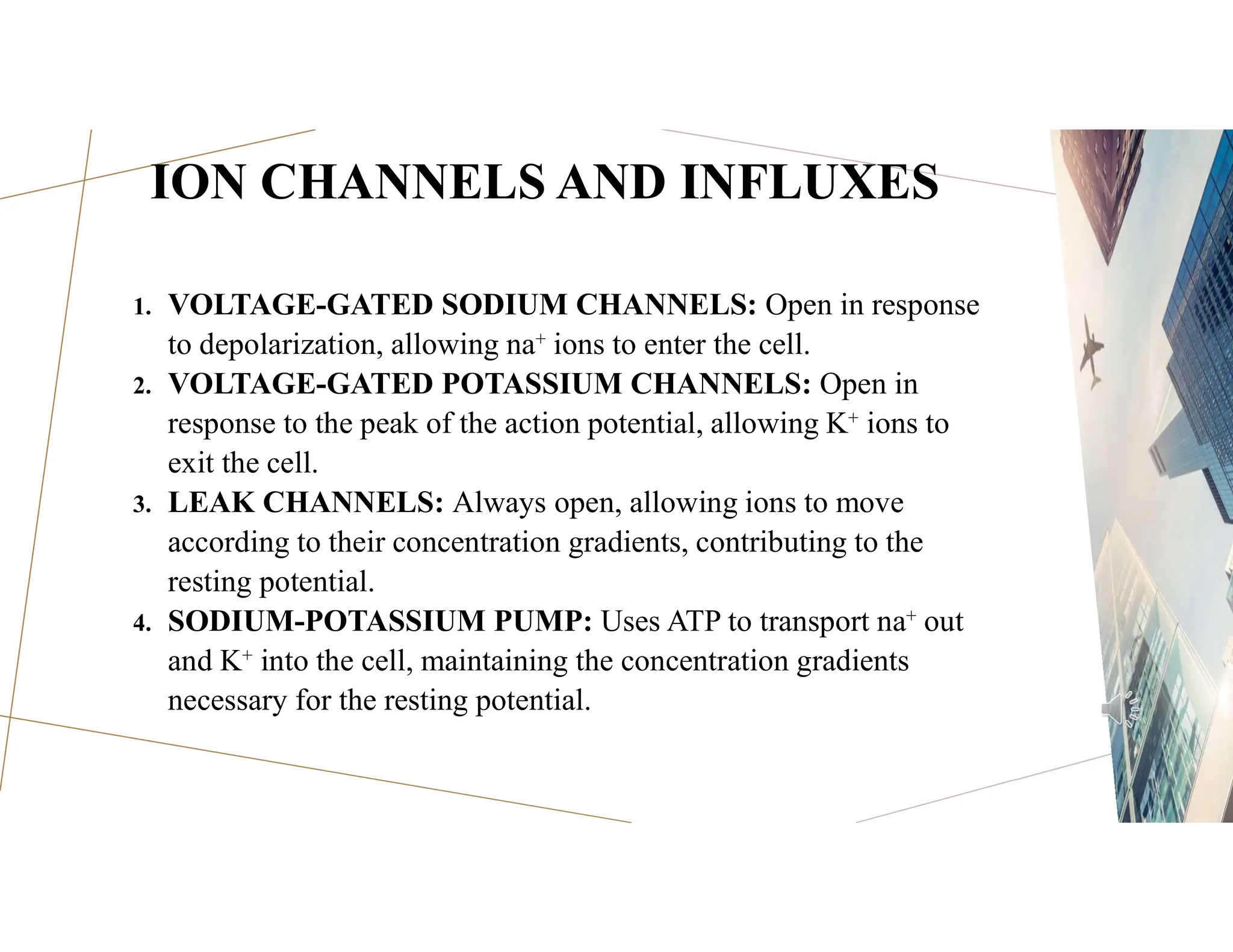 ION CHANNELS AND INFLUXES
1. VOLTAGE-GATED SODIUM CHANNELS: Open in response
to depolarization, allowing na⁺ ions to enter the cell.
2. VOLTAGE-GATED POTASSIUM CHANNELS: Open in
response to the peak of the action potential, allowing K⁺ ions to
exit the cell.
3. LEAK CHANNELS: Always open, allowing ions to move
according to their concentration gradients, contributing to the
resting potential.
4. SODIUM-POTASSIUM PUMP: Uses ATP to transport na⁺ out
and K⁺ into the cell, maintaining the concentration gradients
necessary for the resting potential.
 