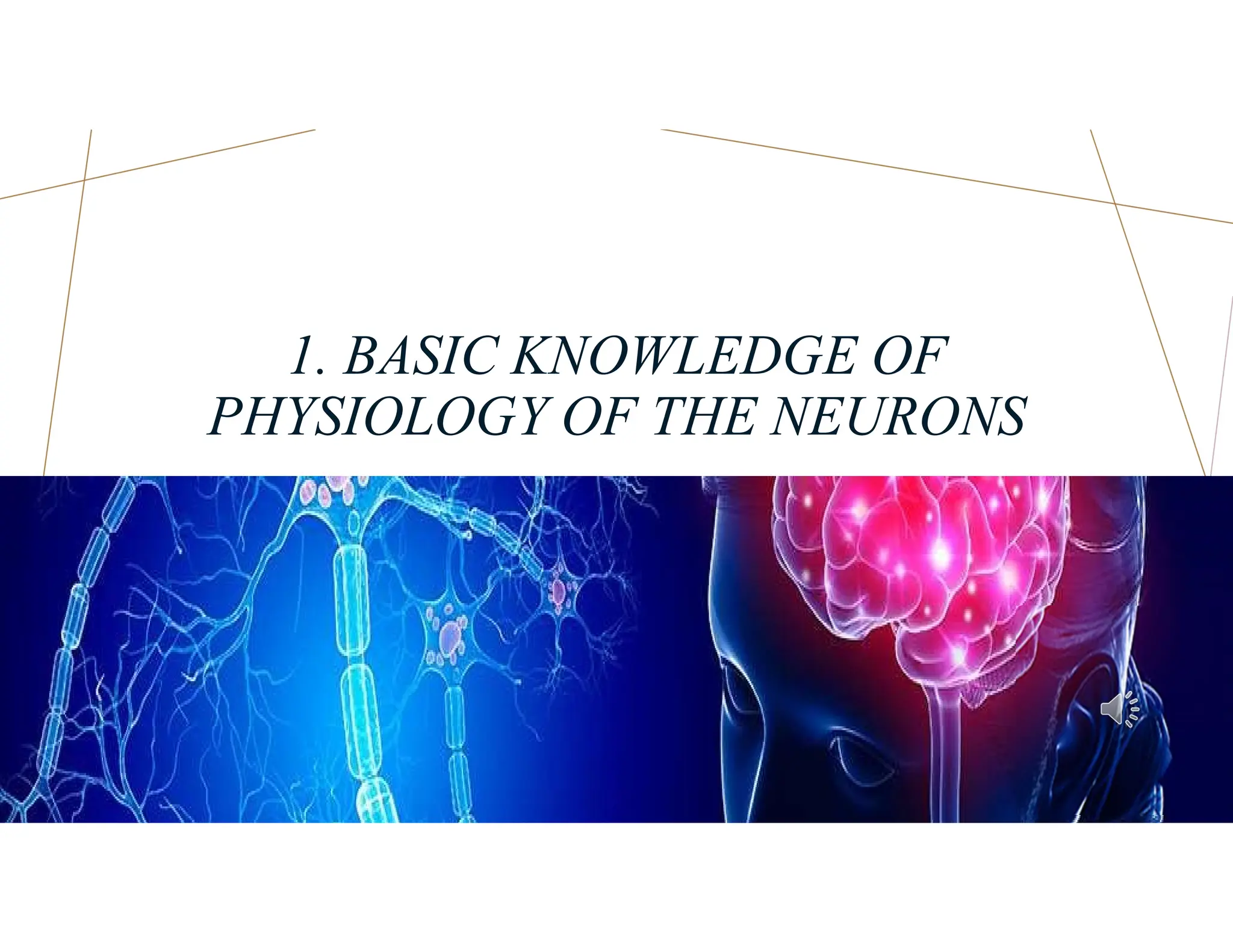 1. BASIC KNOWLEDGE OF
PHYSIOLOGY OF THE NEURONS
 