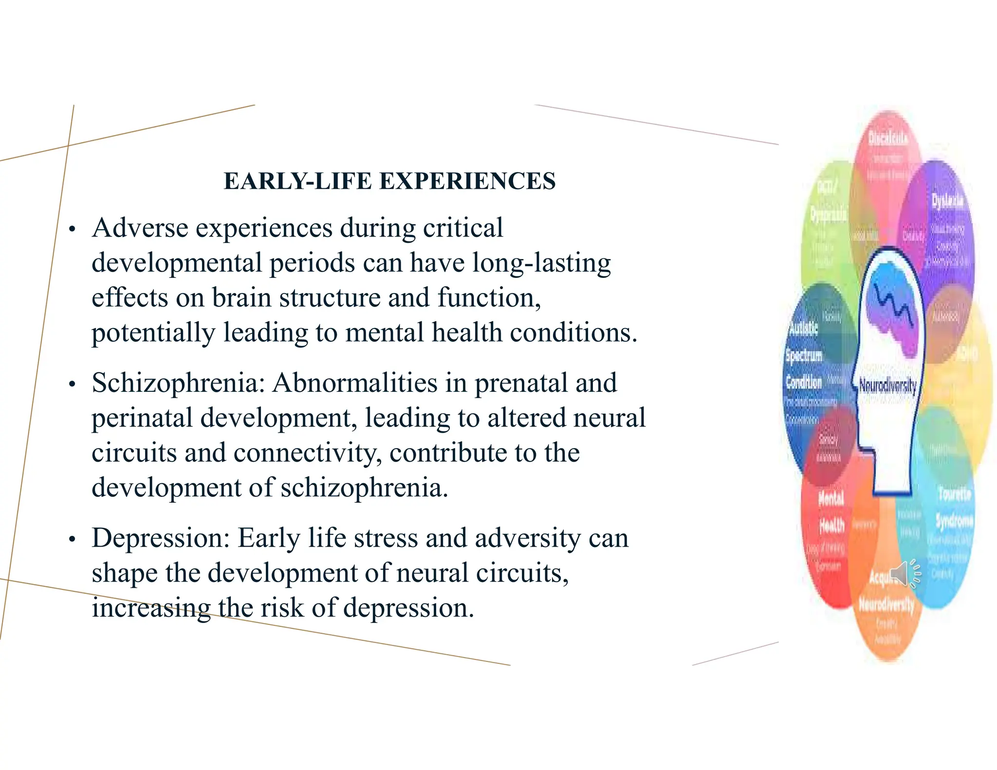 EARLY-LIFE EXPERIENCES
• Adverse experiences during critical
developmental periods can have long-lasting
effects on brain structure and function,
potentially leading to mental health conditions.
• Schizophrenia: Abnormalities in prenatal and
perinatal development, leading to altered neural
circuits and connectivity, contribute to the
development of schizophrenia.
• Depression: Early life stress and adversity can
shape the development of neural circuits,
increasing the risk of depression.
 