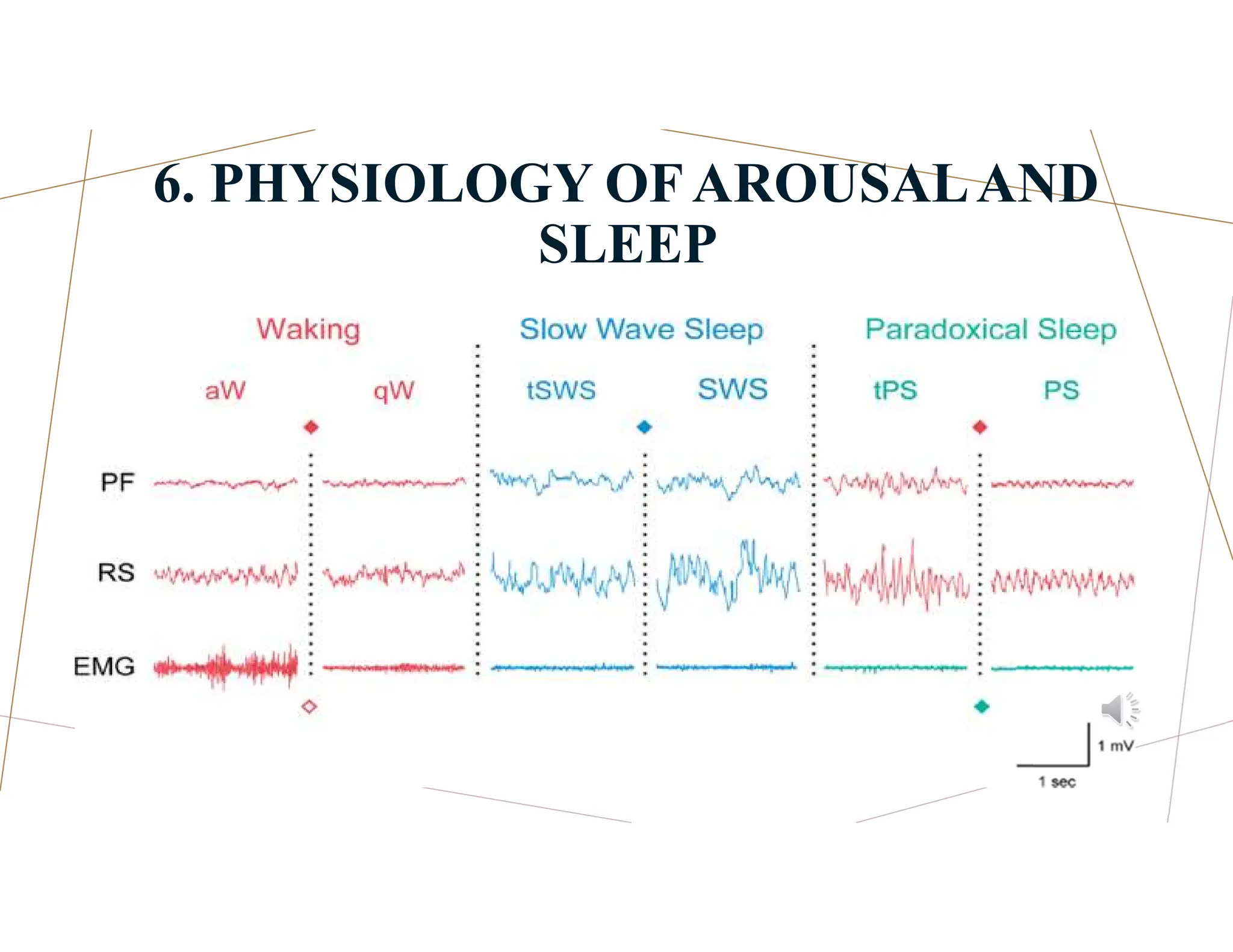 6. PHYSIOLOGY OFAROUSALAND
SLEEP
.
 