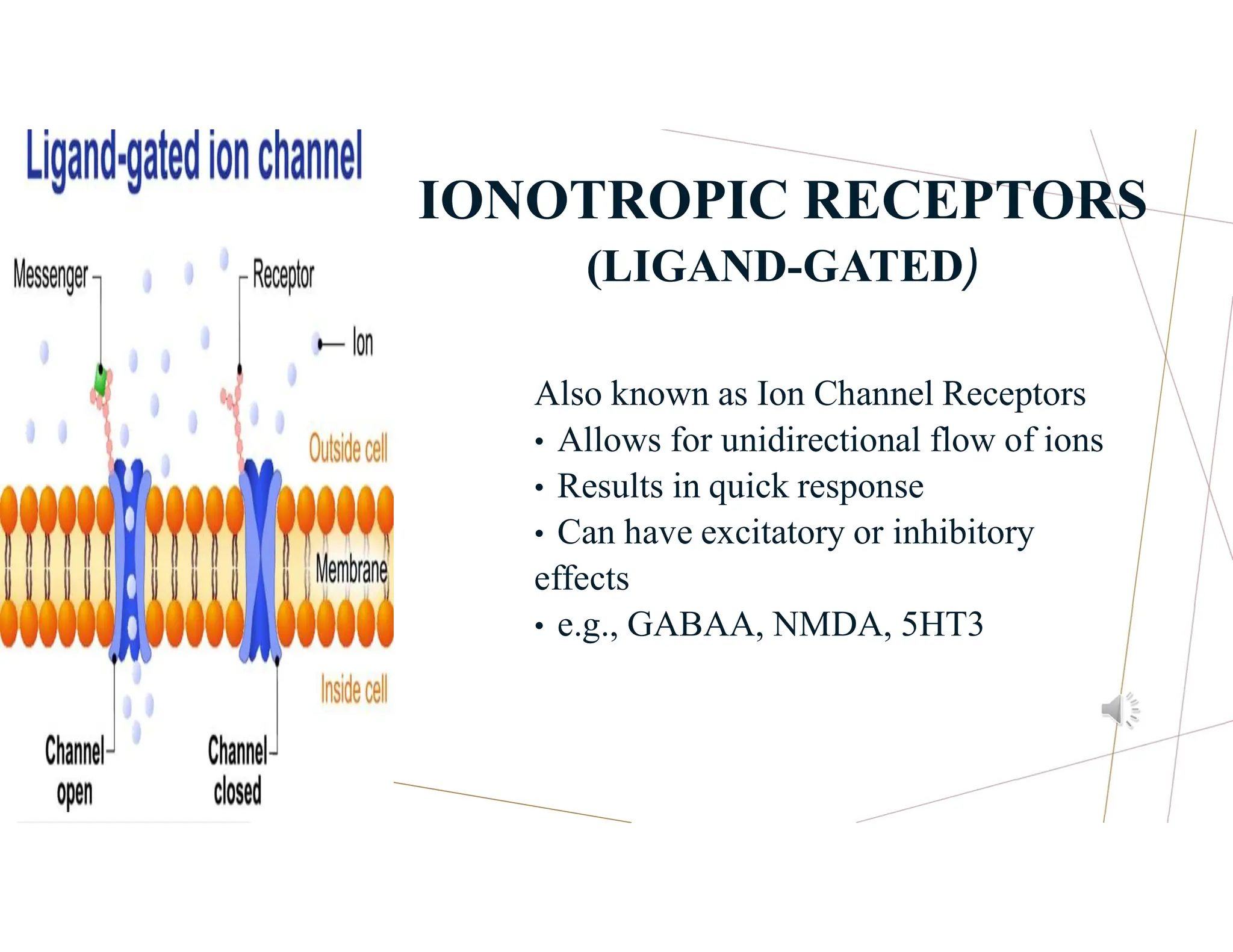 IONOTROPIC RECEPTORS
(LIGAND-GATED)
Also known as Ion Channel Receptors
• Allows for unidirectional flow of ions
• Results in quick response
• Can have excitatory or inhibitory
effects
• e.g., GABAA, NMDA, 5HT3
 